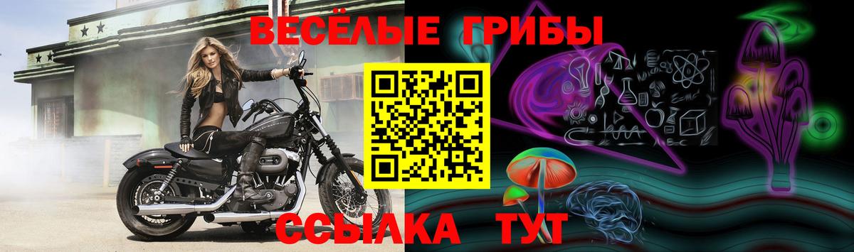 Наро-Фоминск  Галлюциногенные грибы Psilocybine cubensis  Вход с VPN 